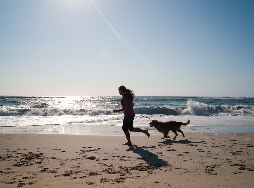 Camping Zeeland met hond